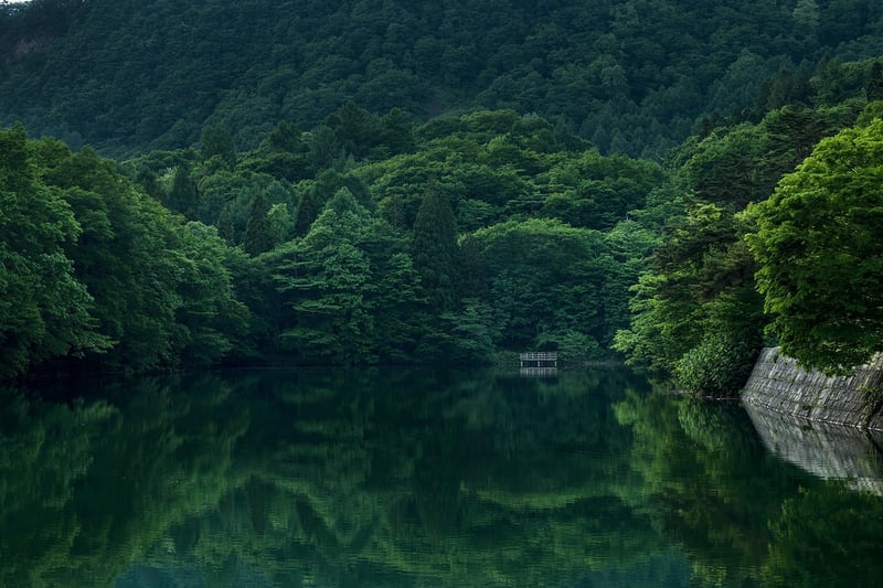 Tranquil Lakeside Retreat