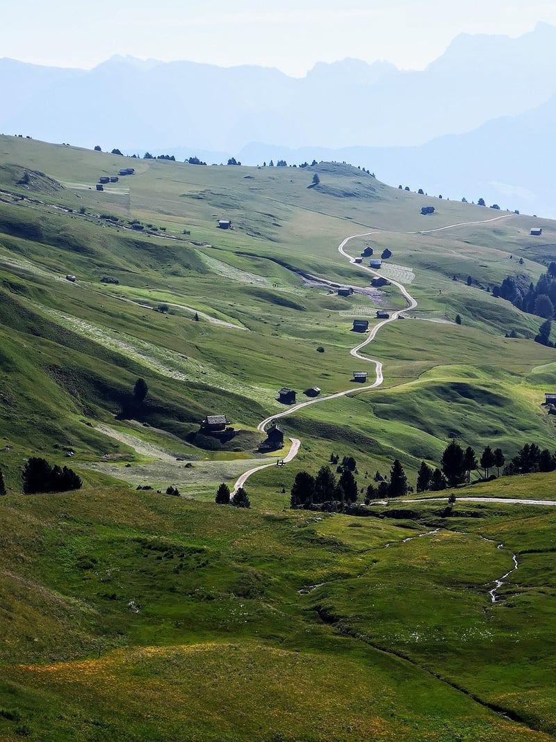Mountain Trek